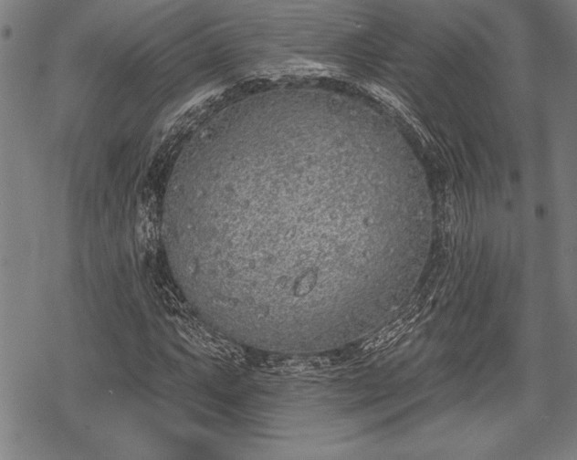 X0000069381063200605150912