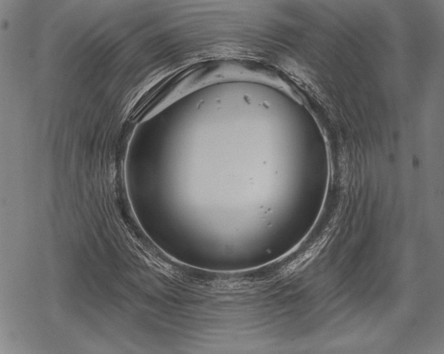 X0000069381065200605150912