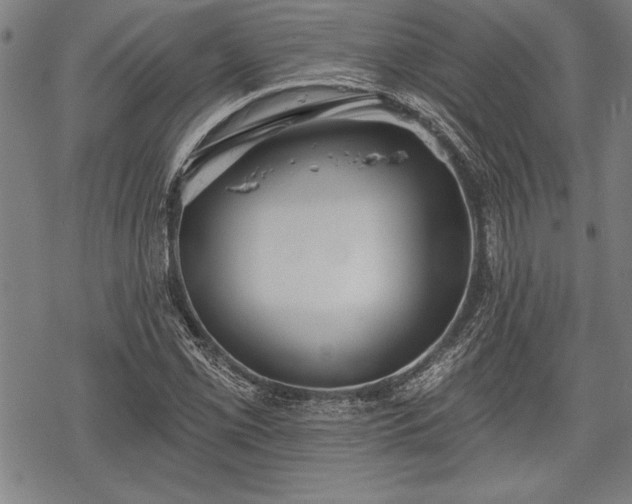 X0000069381069200605150912