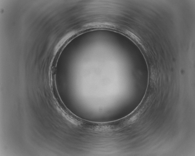 X0000069381082200605150911