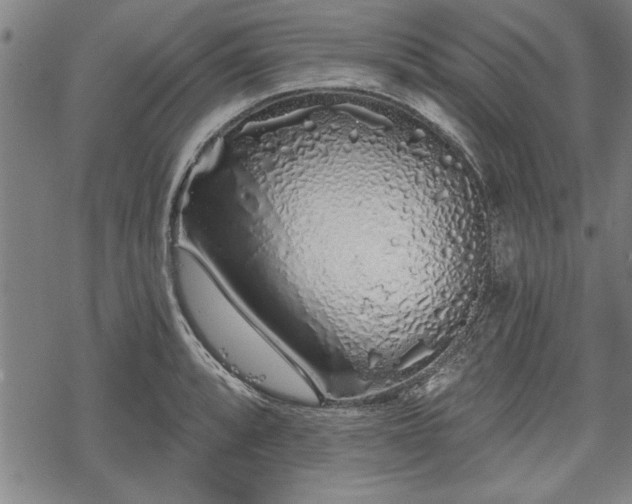 X0000069381088200605150911