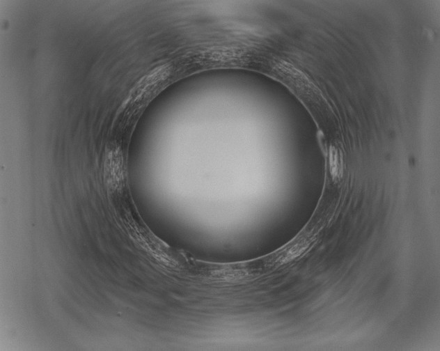 X0000069381107200605150910