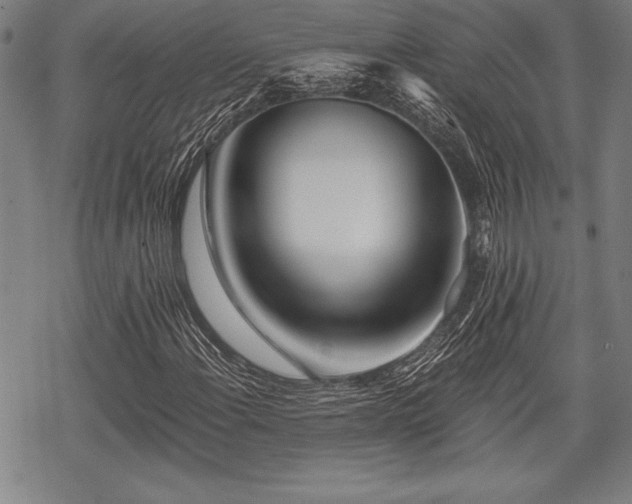 X0000069381108200605150910