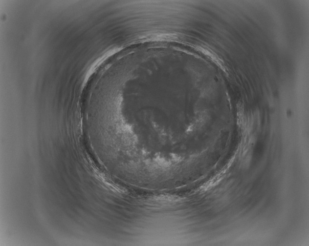 X0000069381117200605150910