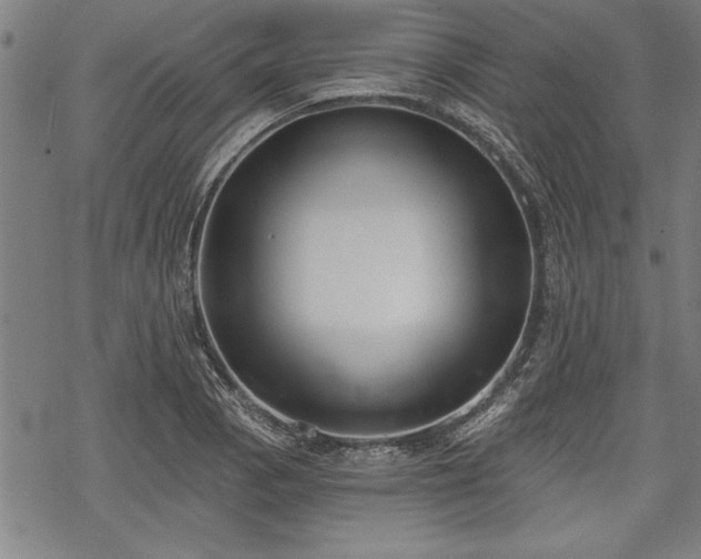 X0000069381129200605150911