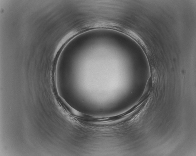 X0000069381138200605150911