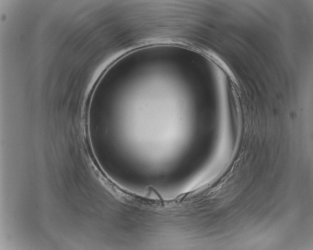 X0000069381148200605150911