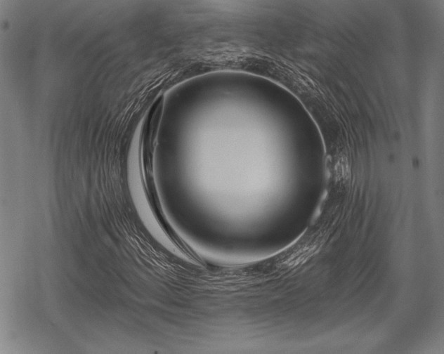 X0000069381156200605150910