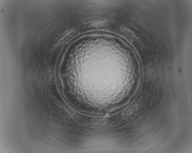 X0000069381158200605150910