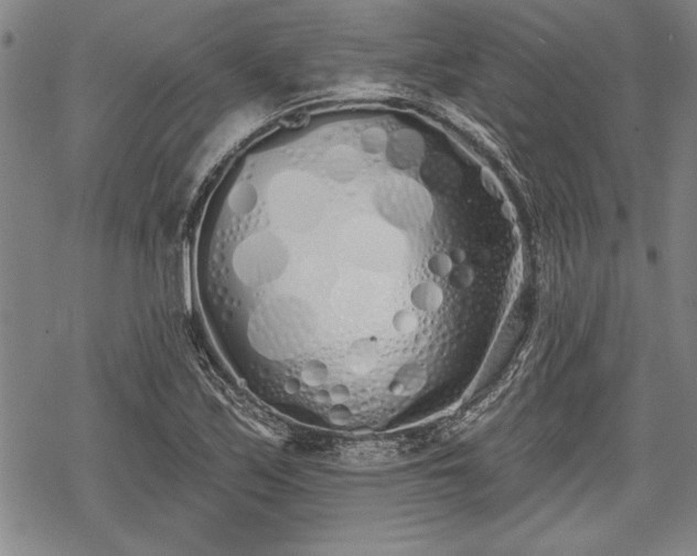 X0000069381171200605150910