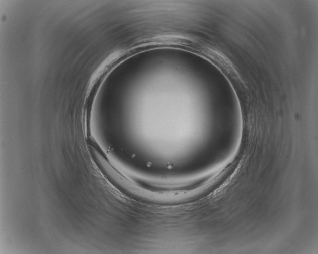 X0000069381180200605150910