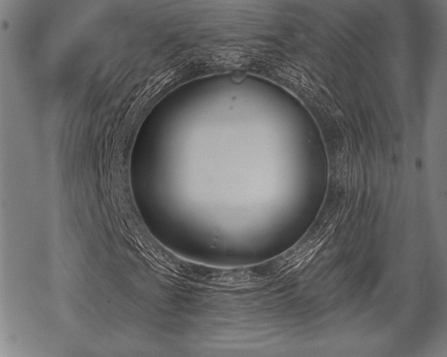 X0000069381201200605150909