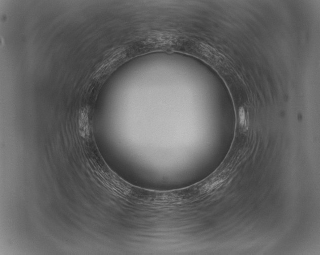 X0000069381203200605150909