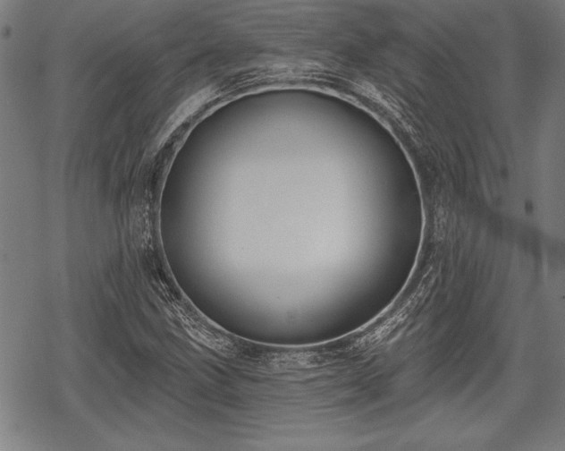 X0000069381211200605150909
