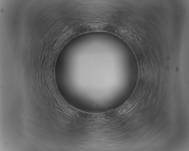 X0000069381249200605150909