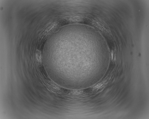 X0000069381251200605150909