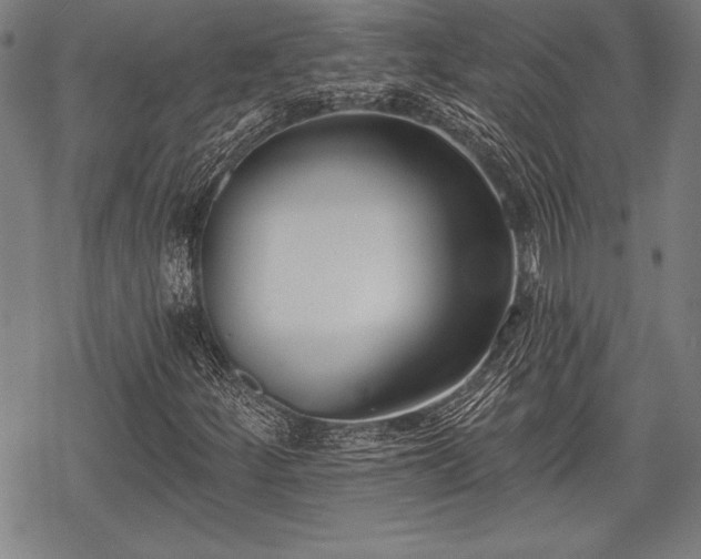 X0000069381252200605150908