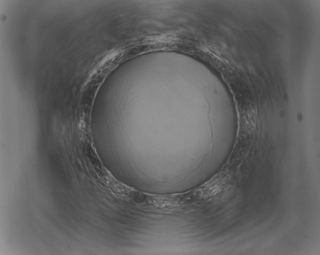 X0000069381254200605150908