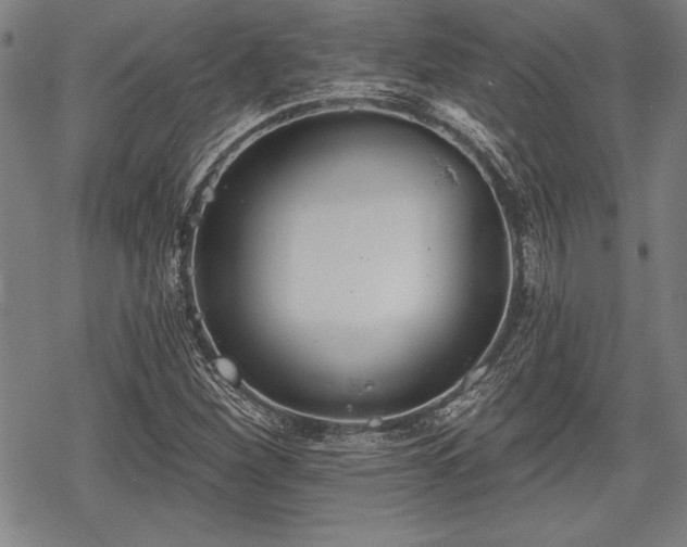 X0000069381260200605150908