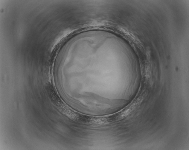 X0000069381262200605150908