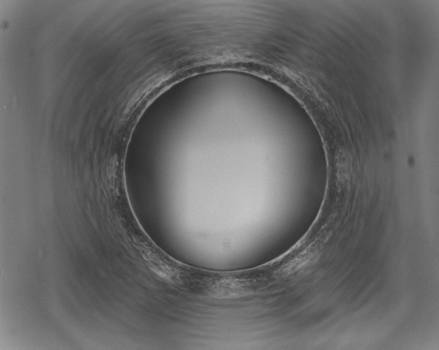 X0000069381265200605150908