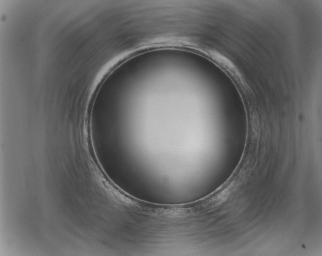 X0000069381288200605150908