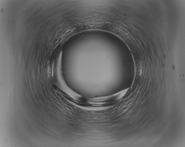 X0000069381298200605150907