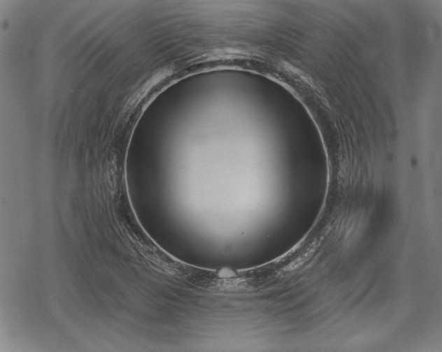 X0000069381313200605150907