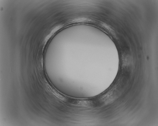 X0000069381322200605150907