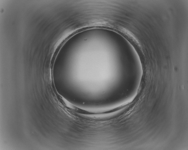 X0000069381324200605150907