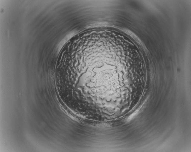 X0000069381337200605150908