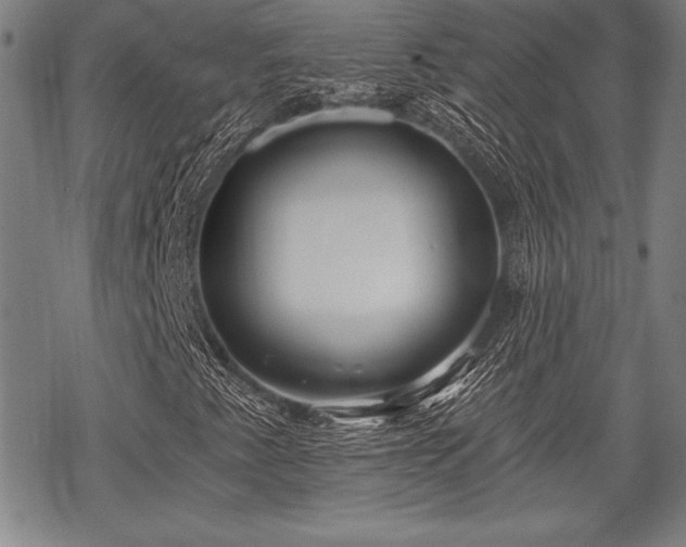 X0000069381345200605150907