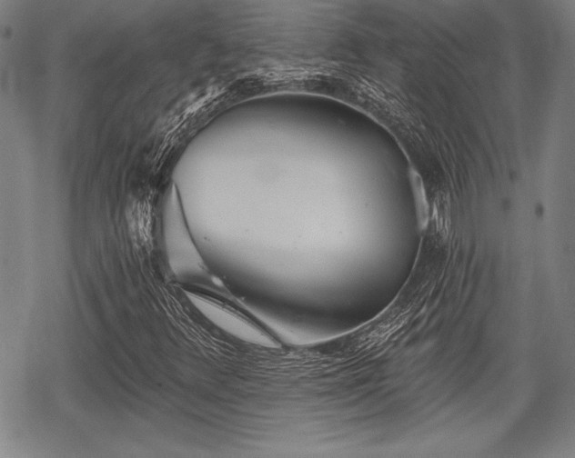 X0000069381348200605150907