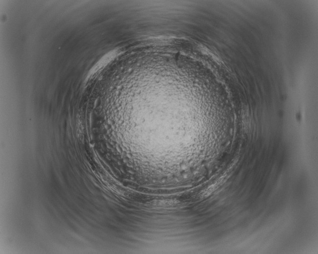 X0000069381354200605150907