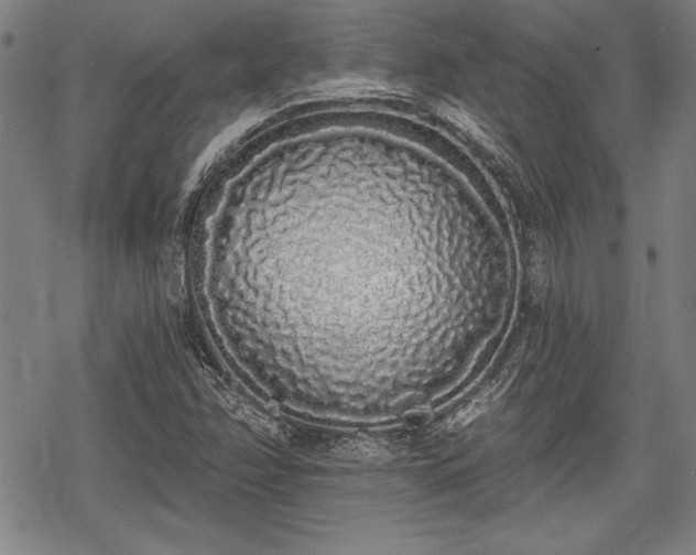 X0000069381358200605150907