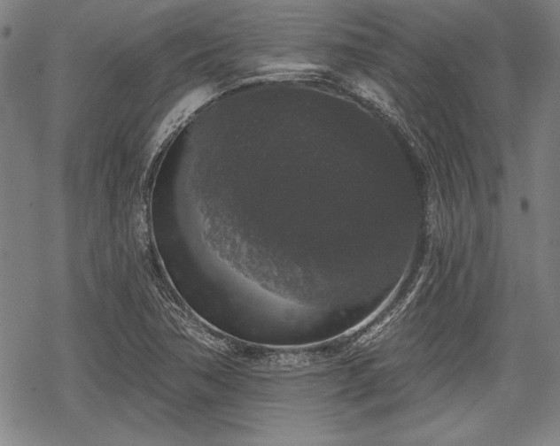 X0000069381362200605150907