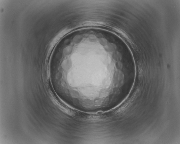 X0000069381371200605150906