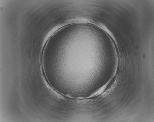 X0000069381389200605150906