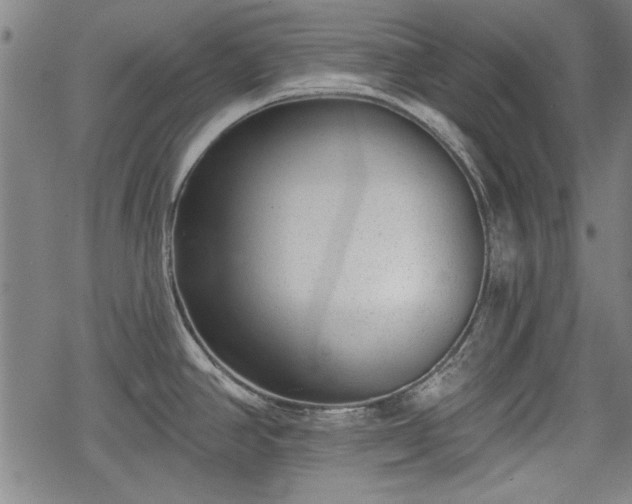 X0000069381390200605150906