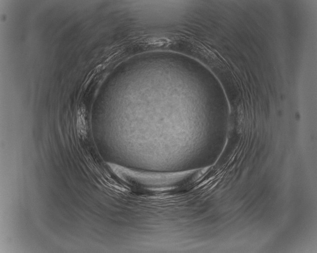 X0000069381394200605150905
