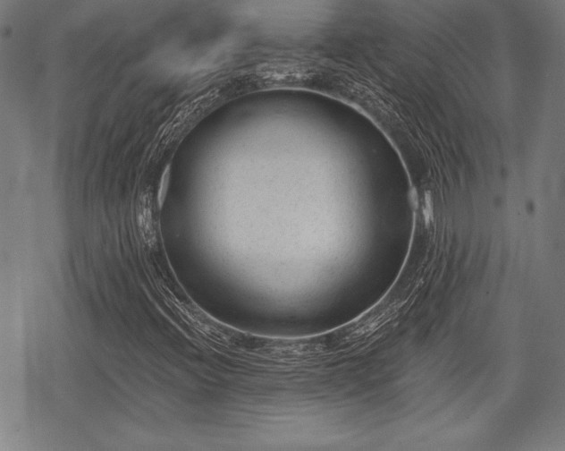 X0000069381396200605150905