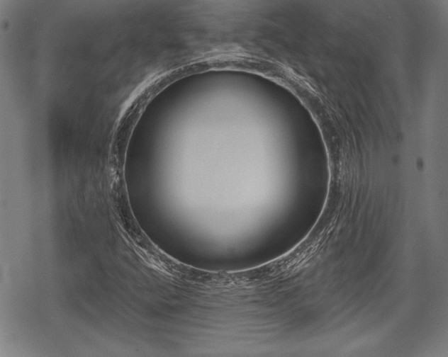 X0000069381400200605150905