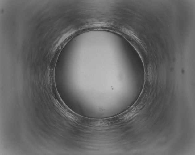 X0000069381404200605150906
