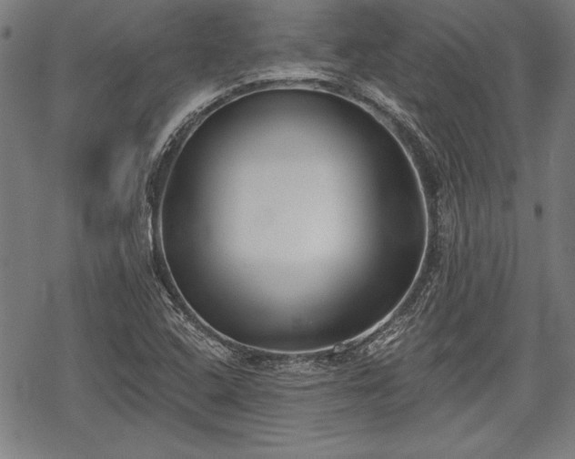 X0000069381408200605150906