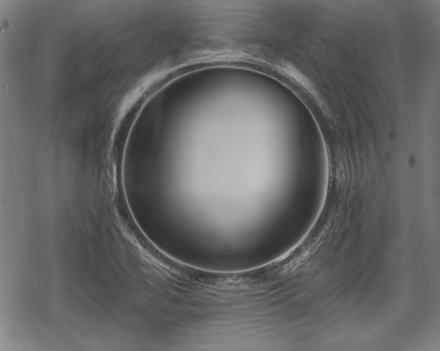 X0000069381414200605150906