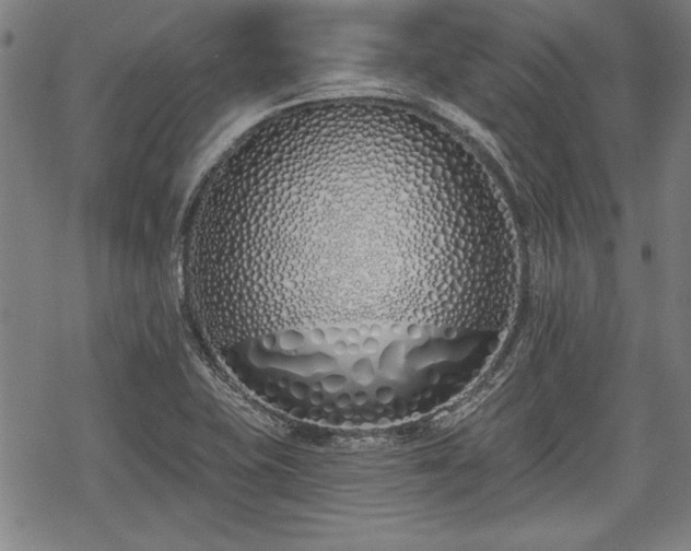 X0000069381415200605150906