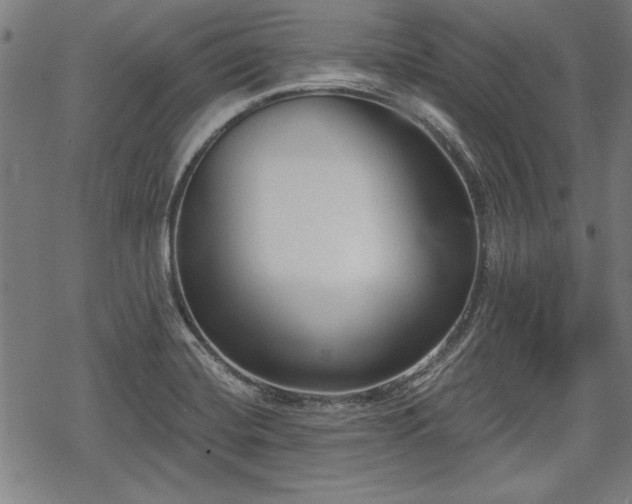 X0000069381420200605150906
