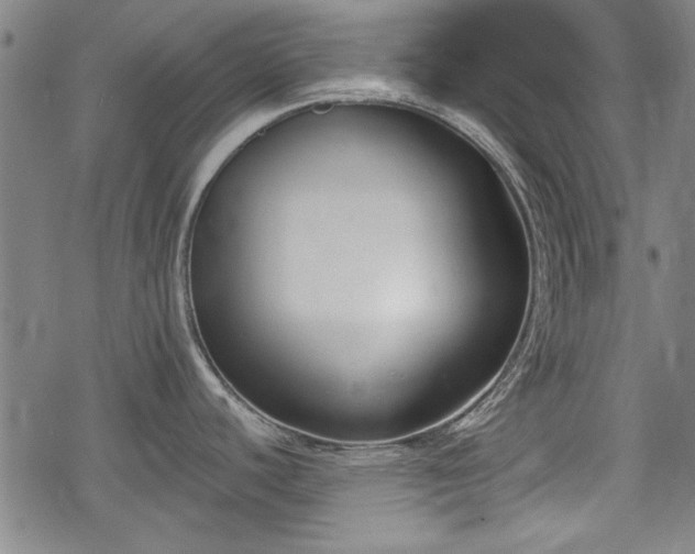 X0000069381440200605150906