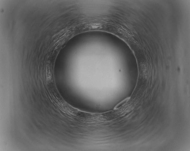 X0000069381442200605150905