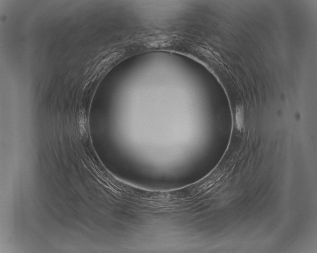 X0000069381444200605150905